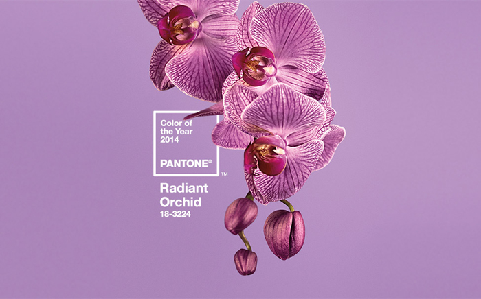 Radiant Orchid - Pantone Colour of the Year 2014